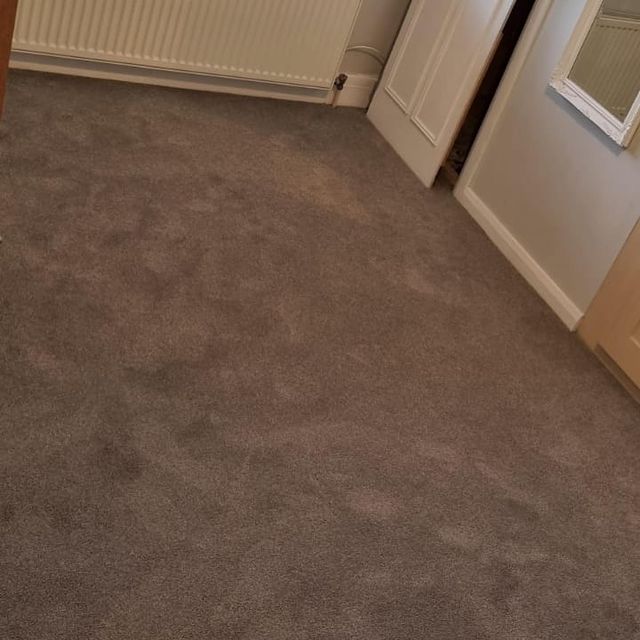 flooring carpet