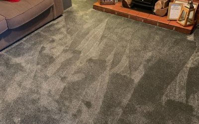Important Factors to Weigh in Before Investing in Carpet Flooring